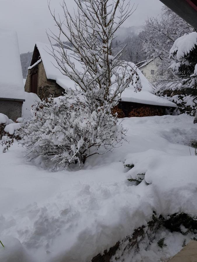 Apartamento Joli Petit Au Calme Vignec